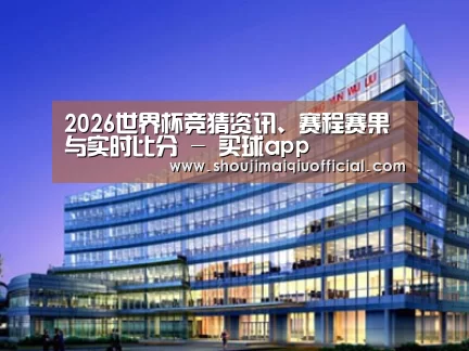 案例展示五