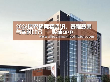 案例展示七