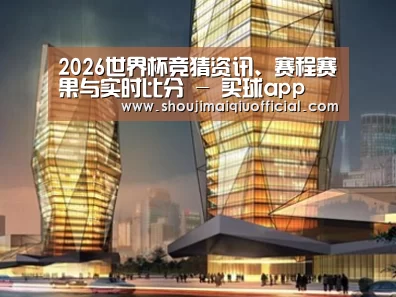案例展示三