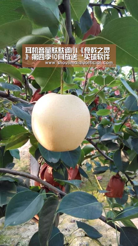 耳机音量默默调小《食戟之灵》第四季10月放送‘买球软件官网’(图1) 世界杯赛程