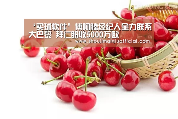 ‘买球软件’博阿滕经纪人全力联系大巴黎 拜仁盼收5000万欧(图3) 买球软件