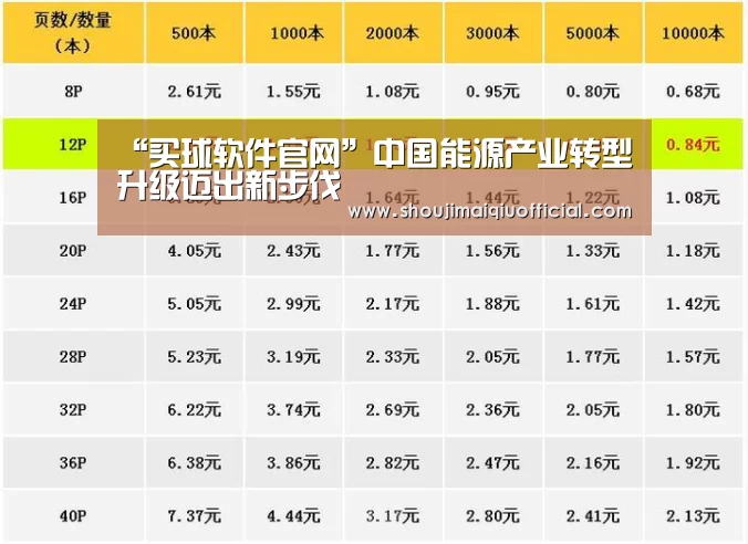 “买球软件官网”中国能源产业转型升级迈出新步伐(图3) 买球app下载