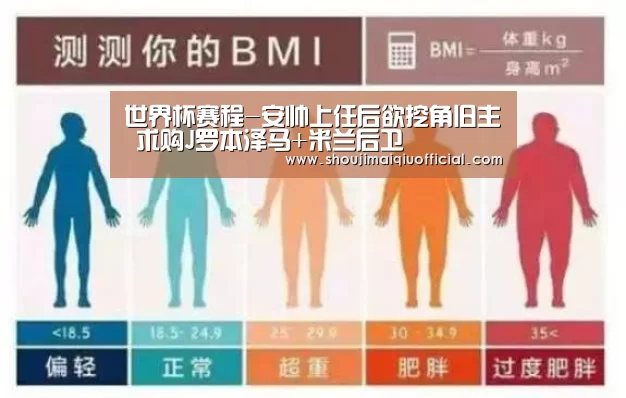 买球app下载
