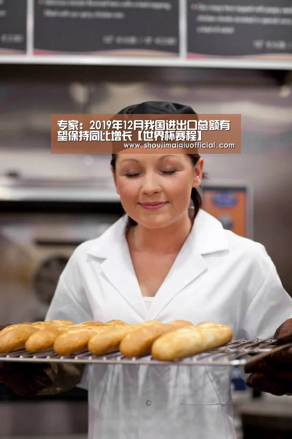 专家:2019年12月我国进出口总额有望保持同比增长【世界杯赛程】(图4) 买球app下载