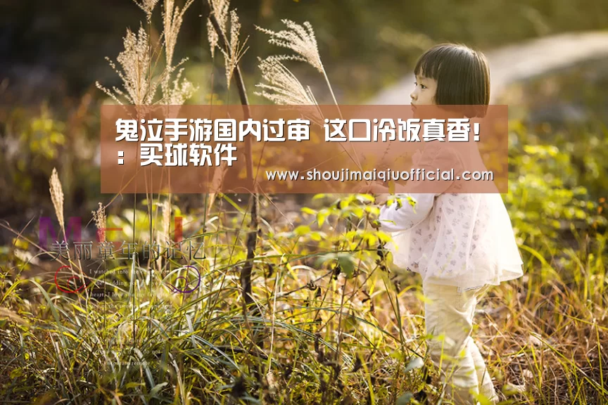 鬼泣手游国内过审 这口冷饭真香!:买球软件(图2) 买球app下载