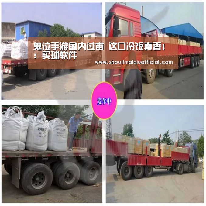 鬼泣手游国内过审 这口冷饭真香!:买球软件(图1) 买球app下载